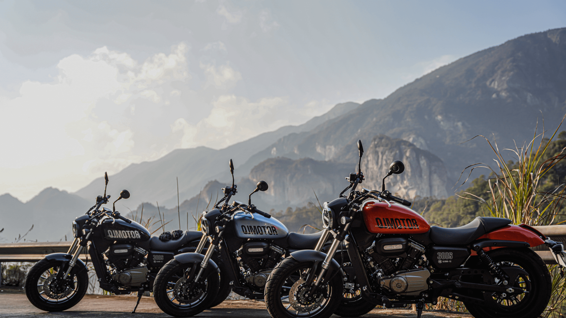 真?zhèn)尾樵?>
				<div   id=